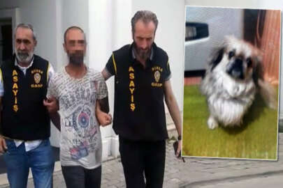 Bursa'da yaşlı adamı dövüp köpeğini çaldılar
