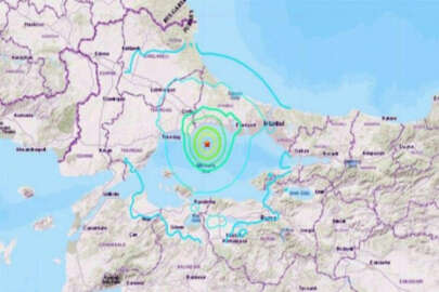 Uzmanlar ikiye bölündü... Öncü mü artçı mı?