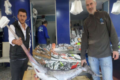 Bursa'da balık fiyatları cep yakıyor! Altın fiyatına kılıç balığı
