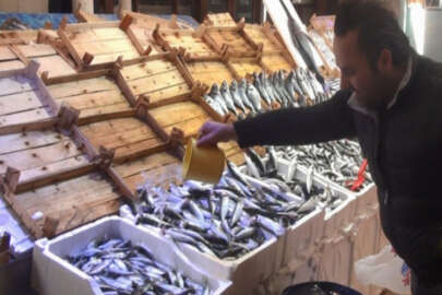 Bursa'da balık fiyatları el yakıyor! Hamsi 20-25 TL