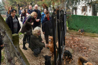 Osmangazi Belediyesi'nin Hayvan Barınağı'na tam not