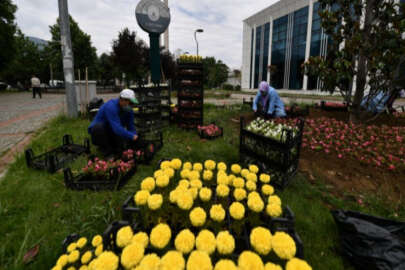 Osmangazi'de 200 bin çiçek toprakla buluşuyor