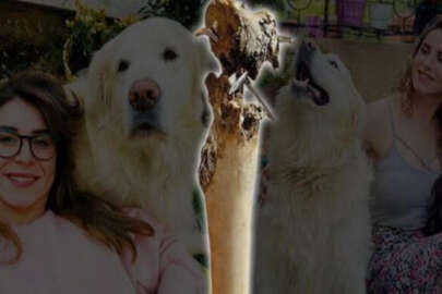 Oyuncu Gamze Topuz'un isyanı: Bunu yapan insan olamaz