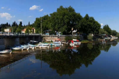 Bursa'nın 700 yıllık ağlayan çınarı! Kanlı gözyaşı...