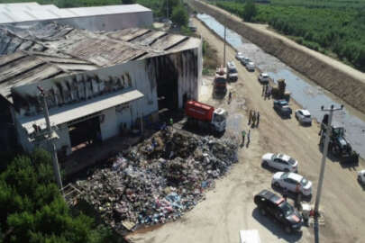 Bursa'daki büyük yangın sonrası geriye kalanlar! Yangınlar neden çıktı?