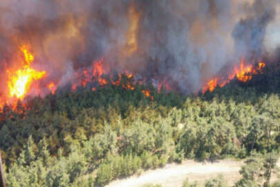 Gelibolu'da orman yangını! Poyraz müdahaleyi zorlaştırıyor