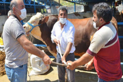 Bursa'da sosyal mesafeli kurban pazarı! Değnekli pazarlık