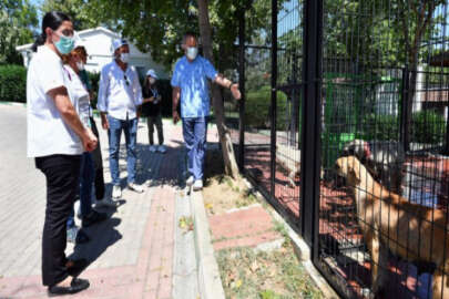 Bursa'daki modern barınak Türkiye'ye örnek oluyor