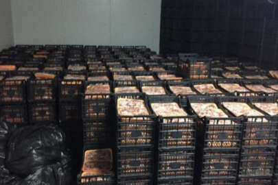 Kurban Bayramı'nda büyük vurgun! Fakirlere dağıtacağız diye...