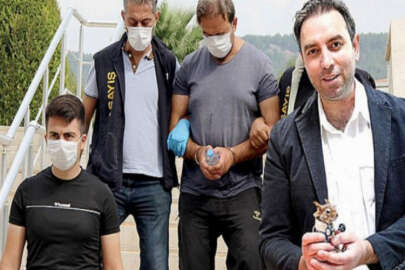 Film gibi dolandırıcılık dosyası! Türk Youtuber için...