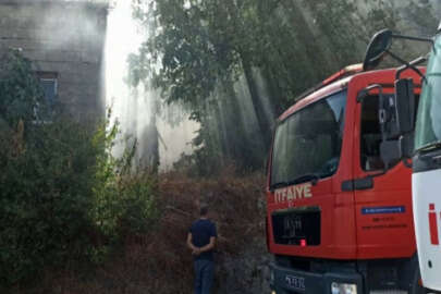 Bursa'da korkutan yangın! 'Benekli' son anda kurtarıldı