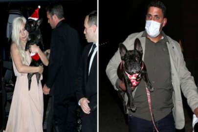 Lady Gaga'nın kaçırılan köpekleri bulundu