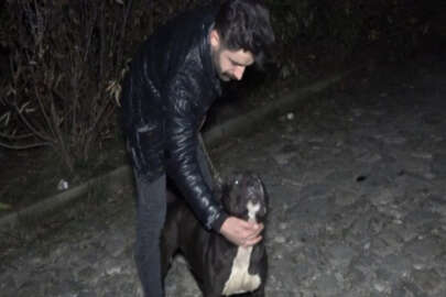 Bursa'da Taciz şüphelisini köpek yakaladı!