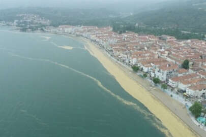 Gemlik Körfezi'ndeki  istilası havadan görüntülendi
