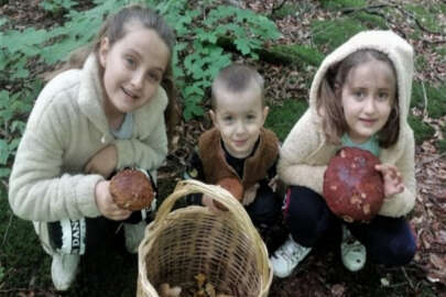 Bursa'nın minik mantar avcıları