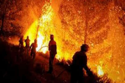 İspanya'da orman yangınları