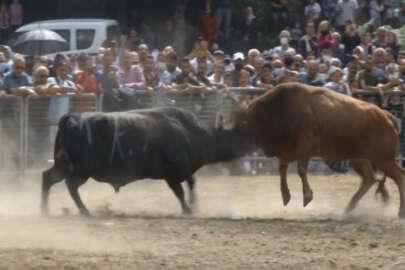 Bursa'da boğa güreşleri İspanya arenalarını aratmadı