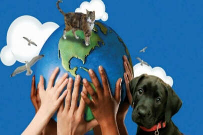 4 Ekim Dünya Hayvanları Koruma Günü hakkında her şey