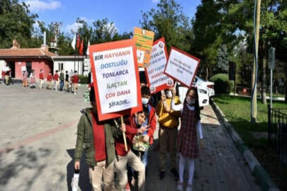 Osmangazi Belediyesi Barınak kapılarını hayvanseverlere açtı