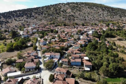 Bursa'da köylülerden ilginç böbrek taşı dökme yöntemi