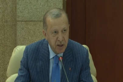 Erdoğan: "FETÖ belasından dost ülkelerin de temizlenmesini istiyoruz"