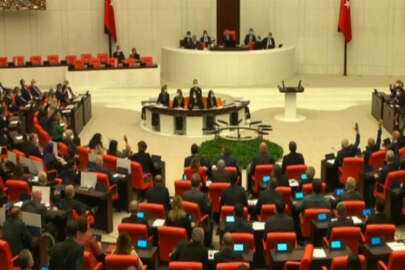 HDP Eş Genel Başkanı Pervin Buldan, tezkere oylamasında yanlışlıkla 'evet' dedi