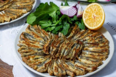 "Hamsiler fabrikaya değil tüketiciye gitsin"