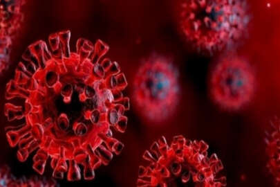 'Virüs, mutasyon geçiriyor ve 3.doz aşı gerekli'
