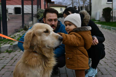 Bursa Osmangazi'de can dostlara hem şifa hem yuva