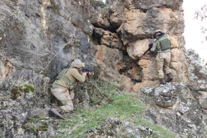 Mardin'de 'Eren Kış-29' operasyonu başlatıldı