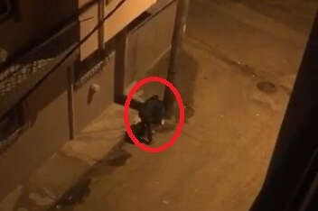 Bursa'da çöp kutusu hırsızı kameralarda! Demir makasla kesmeye çalıştı