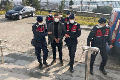 Bursa'da zeytin fidanı hırsızları jandarmadan kaçamadı