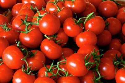 Rusya, sebze ithalatını artırma kararı aldı