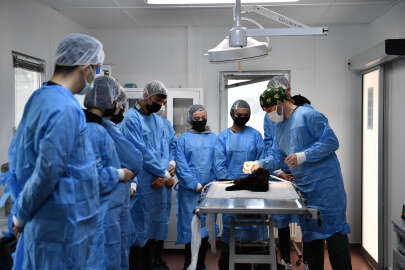 Bursa Osmangazi'de öğrencilere uygulamalı veterinerlik eğitimi