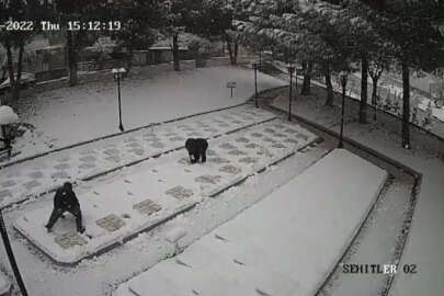 Çanakkale'den duygulandıran görüntü: Şehitlikteki karları temizlediler