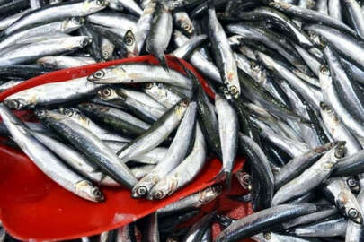 Kirişçi'den Balıkçılara destek müjdesi