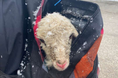 Kar altında doğdu: Üşümesin diye çantasında taşıdı