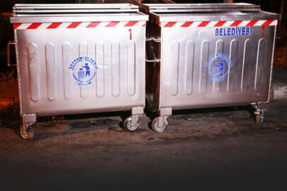 Bunun adı vahşet! Çöpte 19 ölü köpek bulundu!   