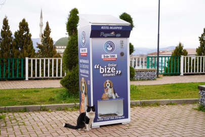 Bursa Kestel Belediyesi sokaktaki canları unutmadı