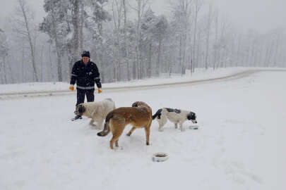 Bursa Osmangazi Belediyesi soğuk havalarda can dostları unutmadı