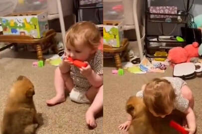 Yavru köpeğine mızıka çalan bebeğe sosyal medyada beğeni yağdı!