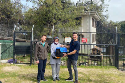 Bursa'da engelli sokak kedisi sıcak yuvasına kavuştu