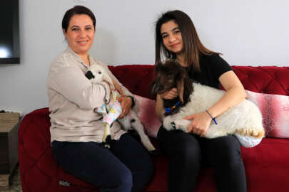 Anneleri ölmüş kuzulara bebek gibi bakıyor