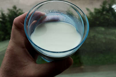 Bursa'da koyun sütüne yoğun ilgi