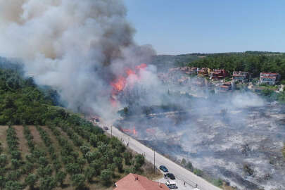 Bursa'da ormanlık alanlarda mangal yakmak yasaklandı!