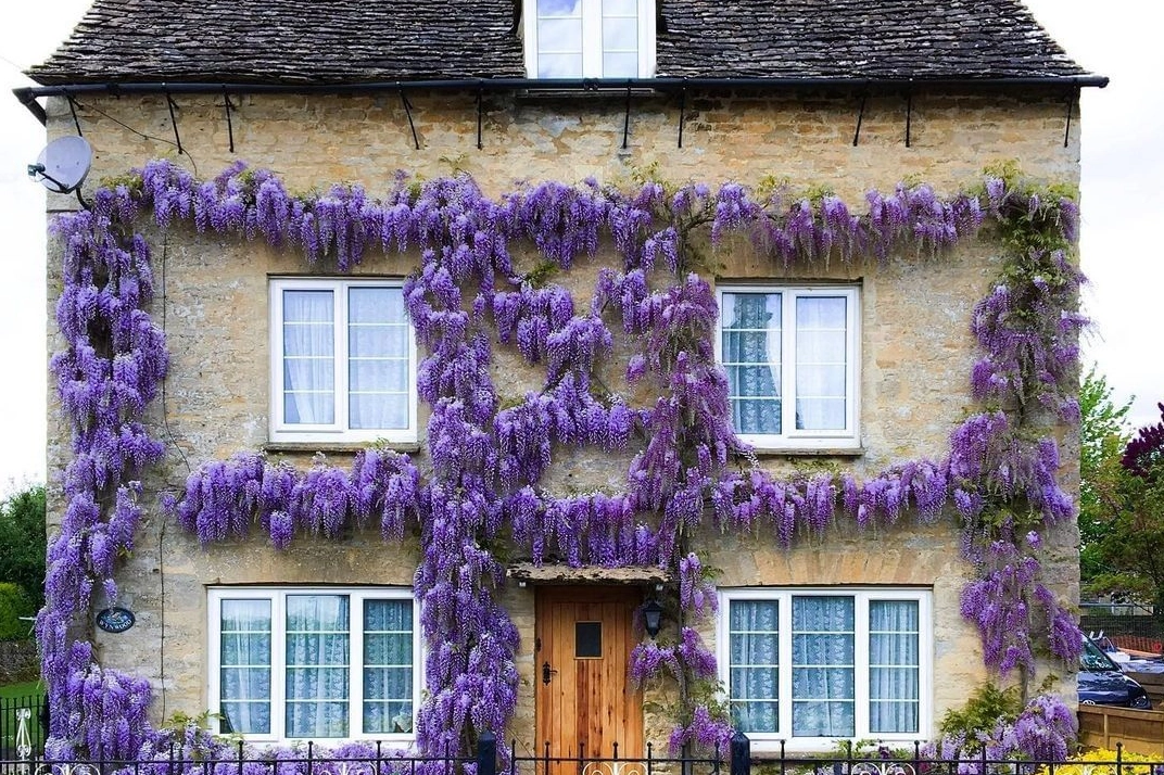 Londra sokaklarından kartpostallık görüntüler