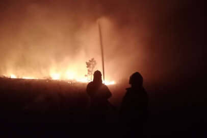Kazakistan'da orman yangını: Acil durum ilan edildi