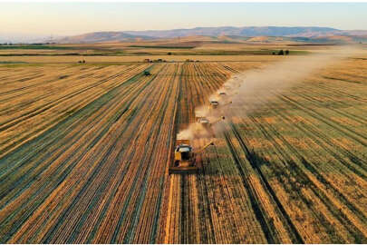 Cumhurbaşkanı Erdoğan'dan çiftçilere elektrik müjdesi