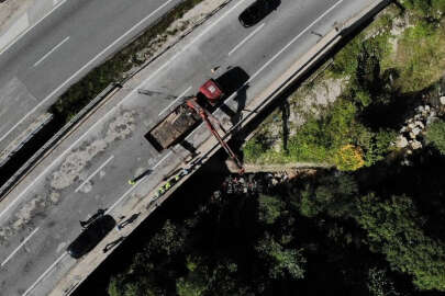 Bursa'da çukura düşen köpek için itfaiye seferber oldu
