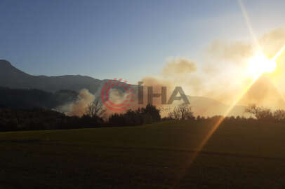 Osmaniye'de orman yangını